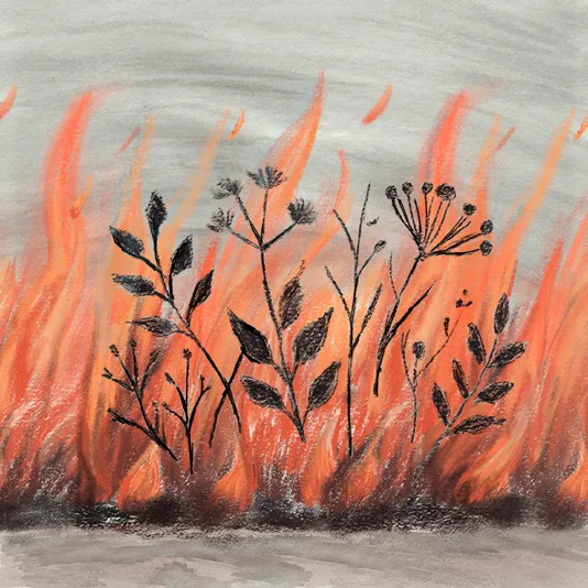 Wildflowers standing in front of a wall of fire